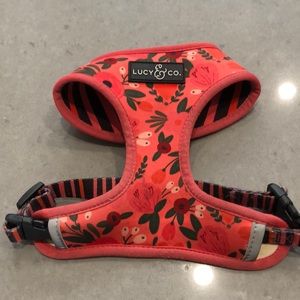 Lucy & Co. small dog harness
